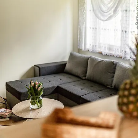 Apartamenty Gorska Przystan Stronie Slaskie Exterior photo