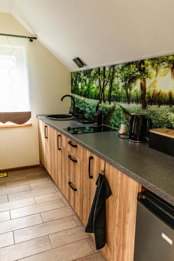 Gorska Przystan Apartament *