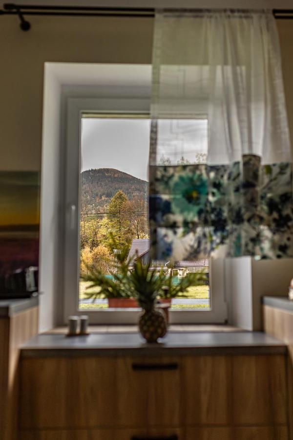Gorska Przystan Apartment Stronie Slaskie