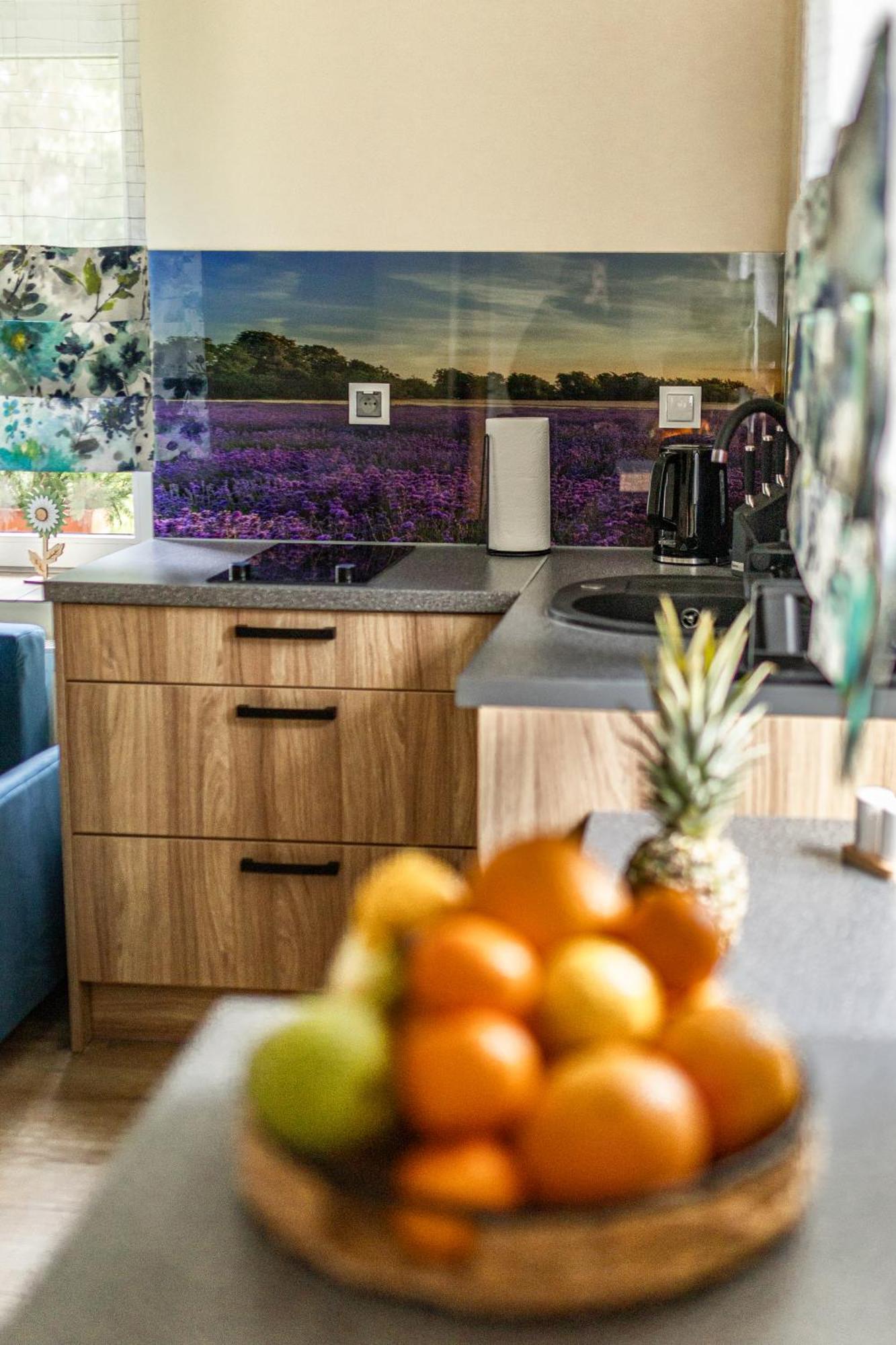 Gorska Przystan Apartament Stronie Śląskie